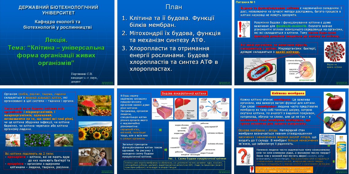 lekcija-2_6_slajdiv_biologija.jpg