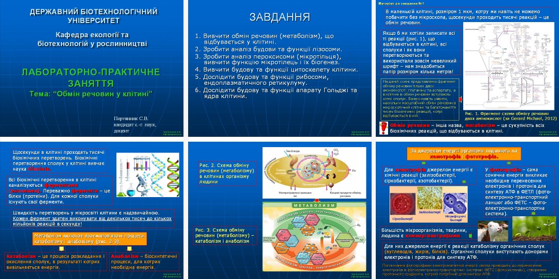 lpz-2_6_slajdiv_biologija.jpg