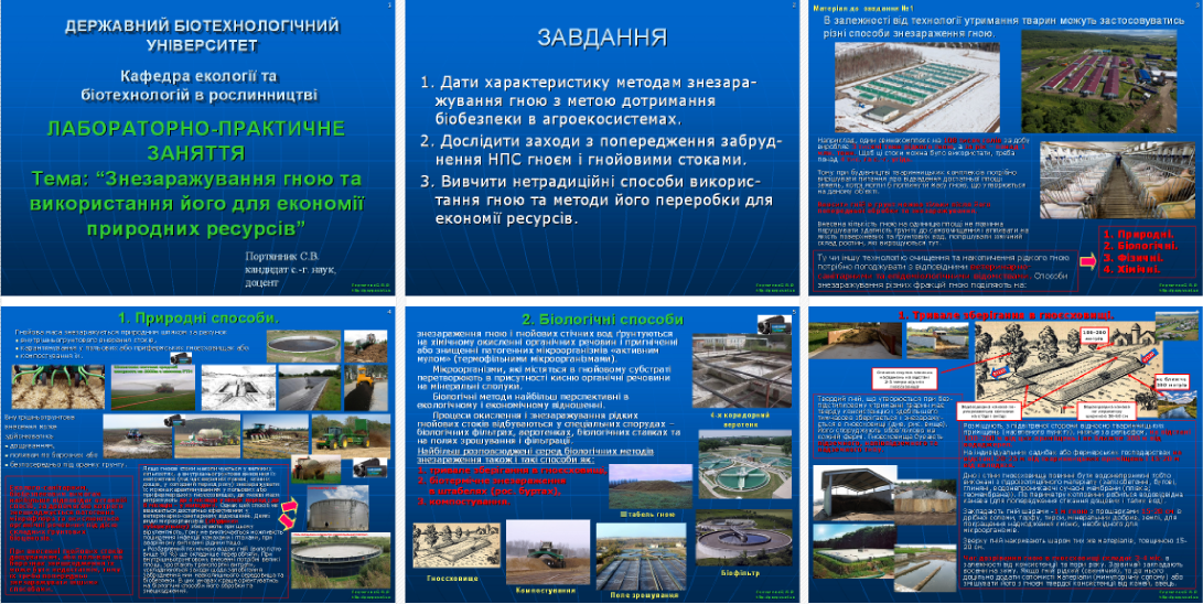 lpz-6_6_slajdiv.png