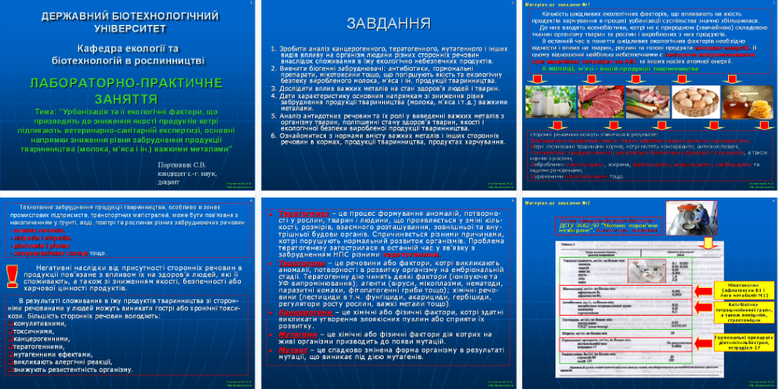 lpz-9_6_slajdiv.png